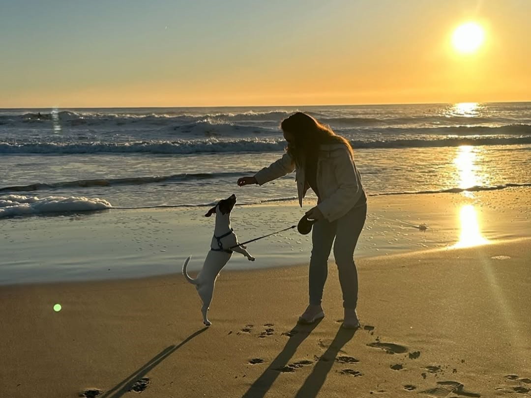 544279644 18407673502119303 3076317220707224742 n