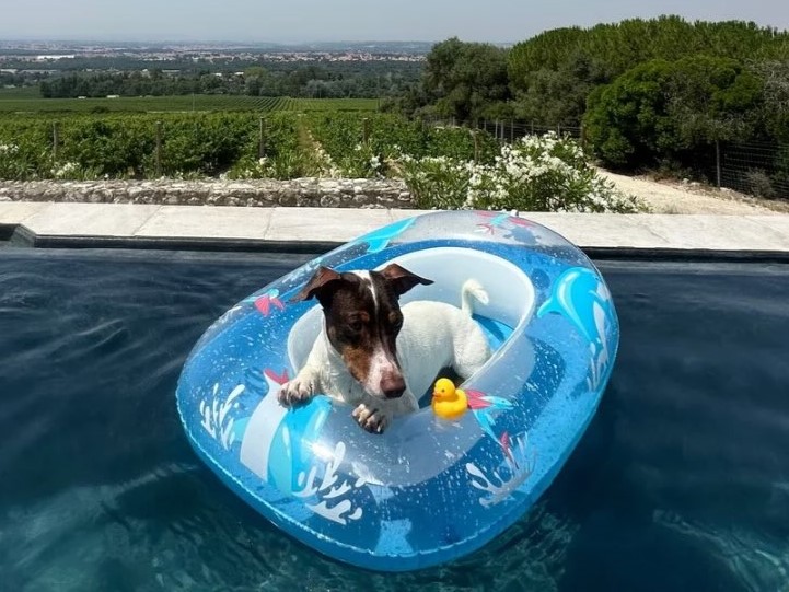 588506113 18421451737119303 7838178138377605760 n