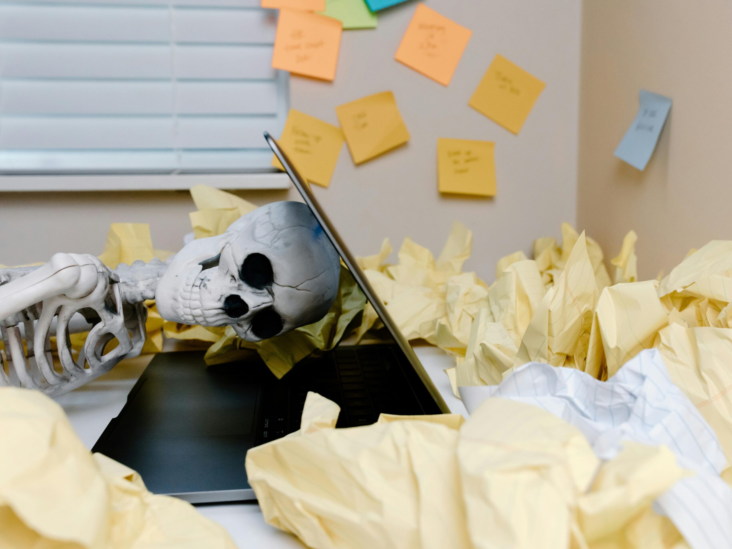 pexels tara winstead 8386574 mod